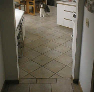 PIC00015.jpg (82461 bytes)