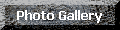 photo gallery button.gif (1918 bytes)